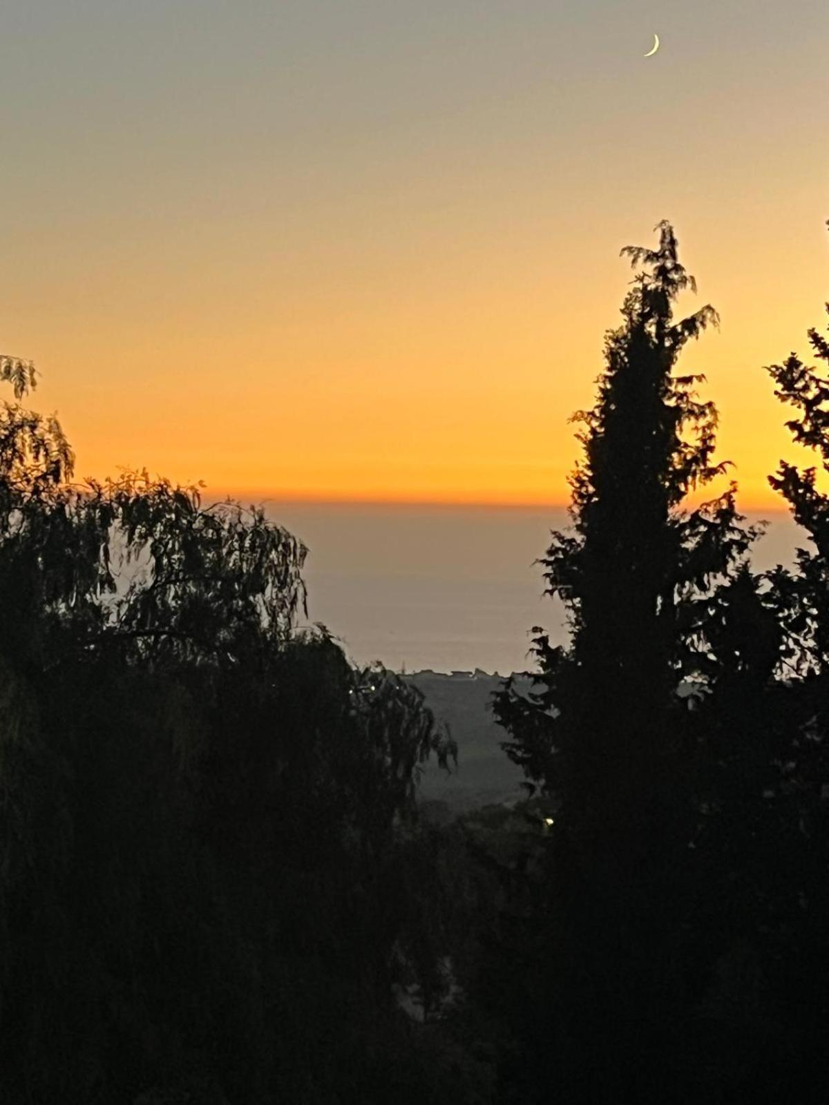 Falaride Suite Agrigento Discesa Sulla Valle Di Oro מראה חיצוני תמונה